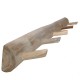 3 branch solid teak wall hook