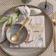 Let the party begin napkin