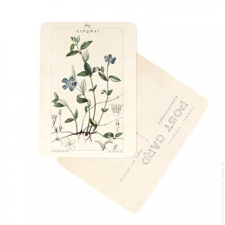 Blue flowers Cinq Mai postcard