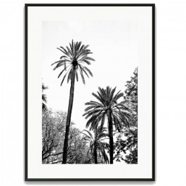 Black and white large palmtrees black 30 x 40 framed poster