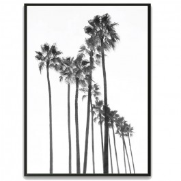 Affiche encadrée Black Palm Trees noir 30 x 40