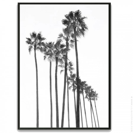 Black and white large palmtrees black 30 x 40 framed poster