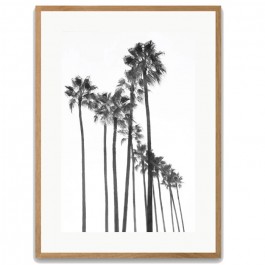 Black palm trees 40 x 50 oak framed poster
