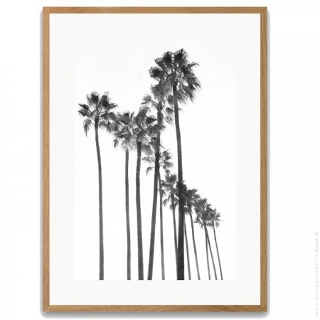 Affiche encadrée Black palm trees chêne 40 x 50