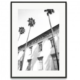 Architectural Palm Trees black 50 x 70 framed poster