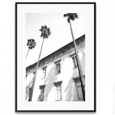Black and white large palmtrees black 30 x 40 framed poster
