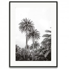 Affiche encadrée Haria noir 30 x 40