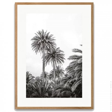 Affiche encadrée Black palm trees chêne 40 x 50