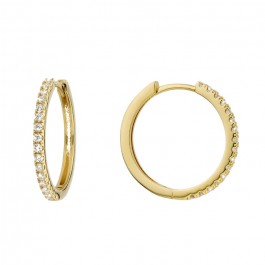 Awesome Delhi gold platted earrings