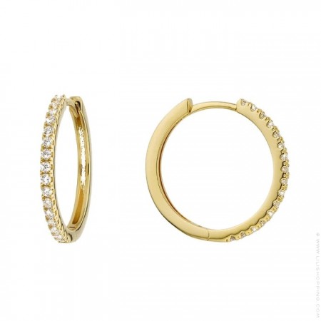 Awesome Delhi gold platted earrings