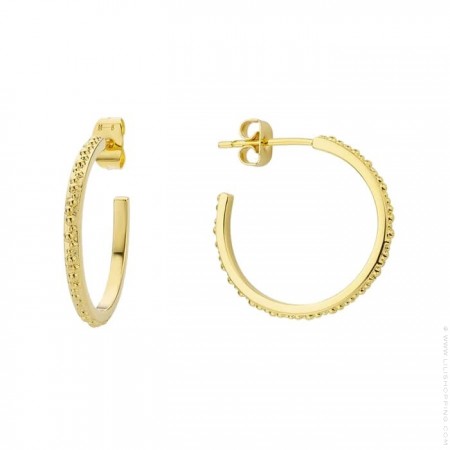 Gold platted Amazonia hoop earrings