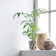 Avo white flower pot