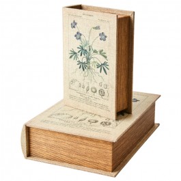 Herbarium box 20 cm