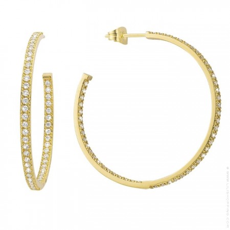 Charlize gold platted earrings