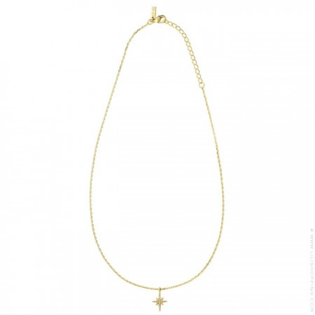 Brands and designers women gold (yellow or rose) plated earrings