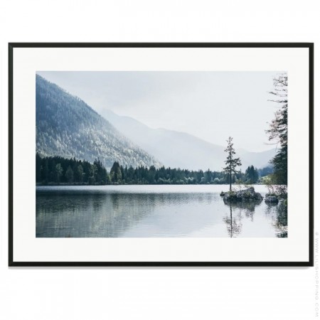 Palmtree of Togo 50 x 40 framed poster