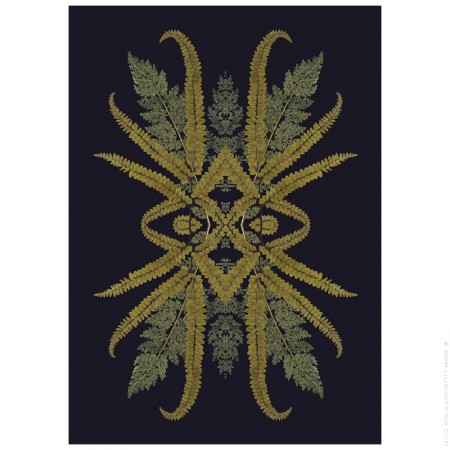 Botanical reflection 8900 poster