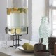 Transparent Fish carafe