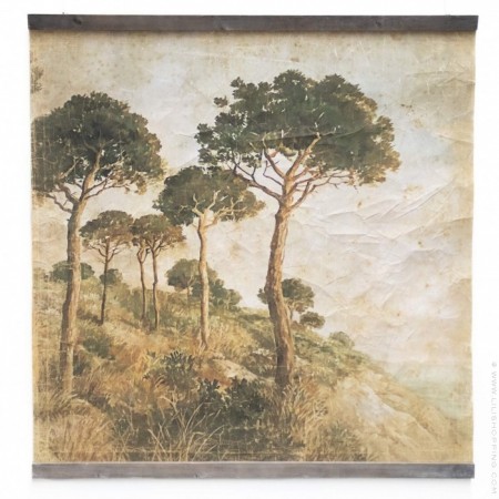 Garrigue wall decor