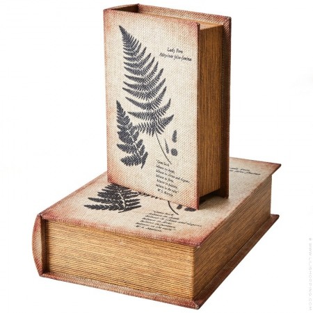 Fern box 27 cm