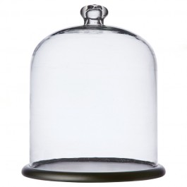 Cloche en verre sur socle