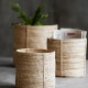 Seagrass Tanger basket