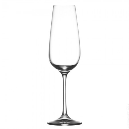 Set de 6 flute à champagne Sauvignon