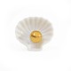 White and gold seashell bean for epiphany
