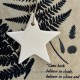 Star in white ceramic