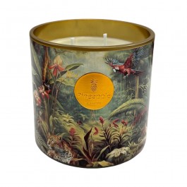 Bougie parfumée La vie sauvage 500 gr