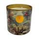 Bougie parfumée La vie sauvage 500 gr