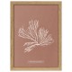 Algae Rhodomenia Palmata 30 x 40 poster