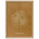 Algae Asperococcus Pusillus 30 x 40 poster