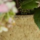 Pot Pion noir marron