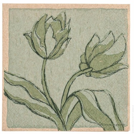 Serviettes en papier Mana