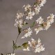 Fleur artificielle foxtail rose