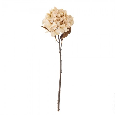 Fleur artificielle hortensia crème