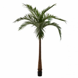 213 cm green palmtree