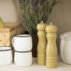 Salt and pepper cream mill