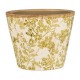 Dame Jeanne en verre marron 