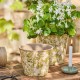 Pot fleurs vertes 11 cm