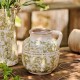 Pot fleurs vertes 11 cm