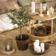 Set de 2 corbeilles en herbier