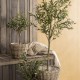 Set de 2 corbeilles en herbier