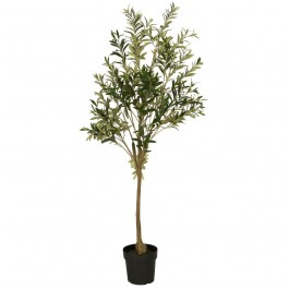 Olivier en pot 166 cm