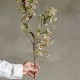 Fleur artificielle Waxflower