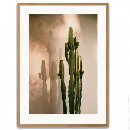 Affiche encadrée Cactus Shadow chêne 50 x 70