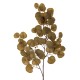 Fleur artificielle eucalyptus marron