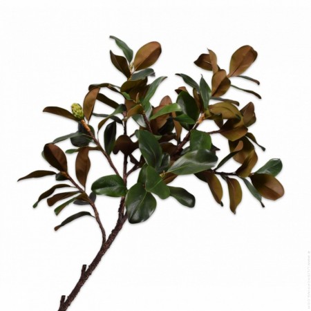 Branched Magnolia 152 cm