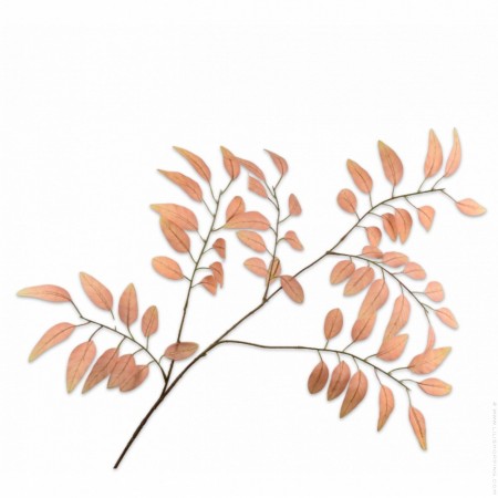 Golden branched grass 119 cm